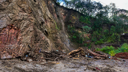 A rocky cliff with landslide debris, fallen trees, and mud after heavy rain, showing the impact of natural disaster and erosion.の写真素材