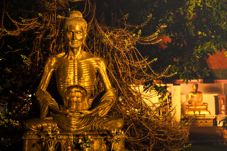 Golden Buddha statue illuminated at night under a sacred tree in a Thai temple, symbolizing enlightenment, meditation, and spiritual devotion in Buddhism.の写真素材