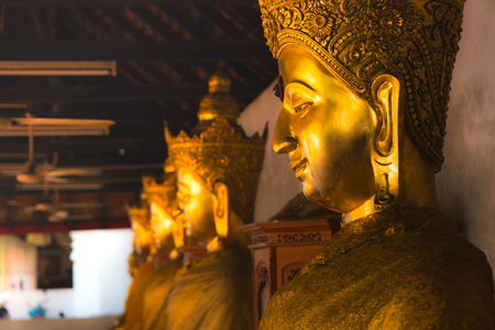Golden Buddha statues lined up in a Thai temple hall, symbolizing Buddhism, peace, and faith, showing traditional Thai religious art and cultural heritage.の写真素材