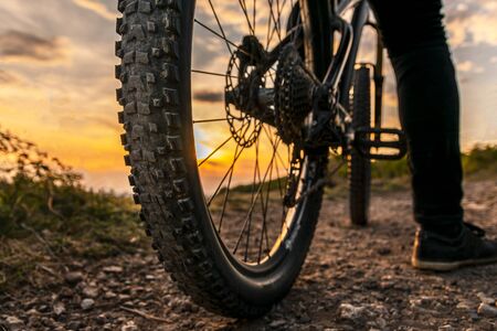 Mountain bike tire. Mountain bike rear wheel detail. Back shot of mountain bike on sunset.