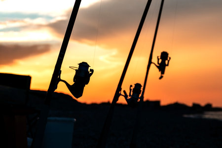 Silhouette of fishing rod with reels at sunset.の写真素材