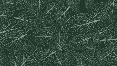 Nature leaves background. Skeleton leaf pattern. Floral outline design for fabricのイラスト素材