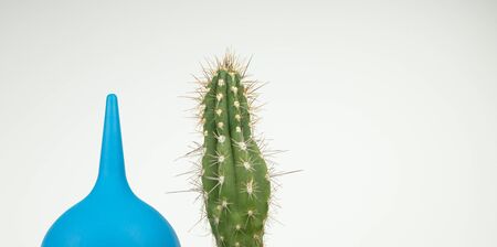 The concept of treatment of hemorrhoids, cactus and blue enema on a white background.の写真素材