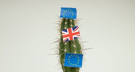 the flag of England and the European Union on a cactus, exit from the EU