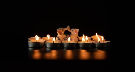 two porcelain elephants surrounded by candles - black background,surface reflectionの写真素材