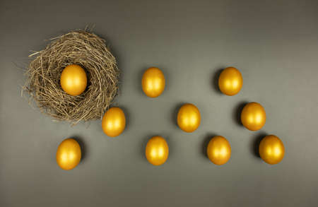 nest with golden egg on gray background, many golden eggs lie nearby, business conceptの写真素材