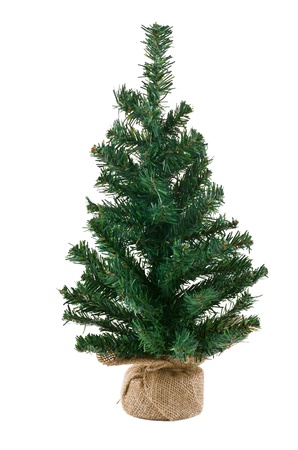 Bare Christmas tree without decoration isolated on whiteの写真素材