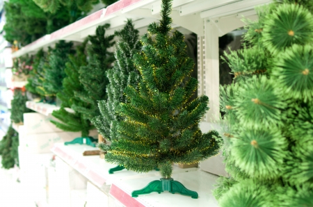Line of bare Christmas tree on shelfs in hypermarketの写真素材