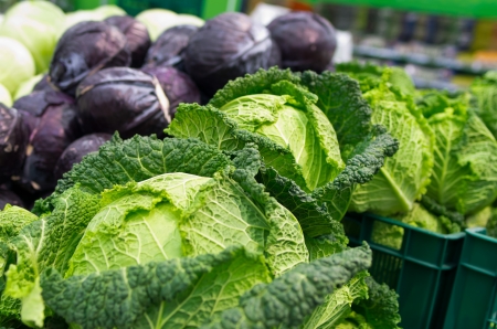 savoy and red cabbage  on the supermarket shelfの写真素材