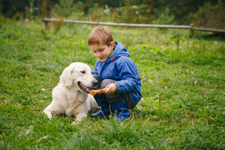 Little boy playing in forest lawn with a golden retriever.の写真素材