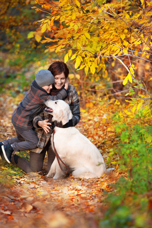 Happy mom and her son with golden retriever  in autumn parkの写真素材