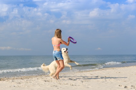 happy girl playing with a dog on the beachの写真素材