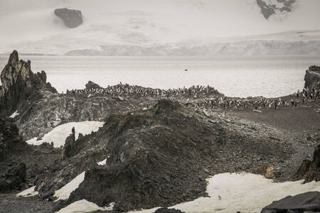 The majestic and harsh nature of Antarctica.の写真素材