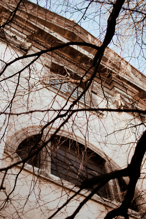 Dry branches of the tree and church on a backgroundの写真素材
