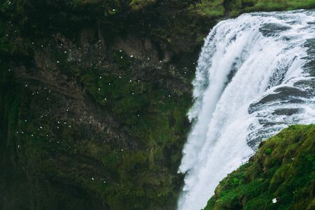 Magical panorama of the Skagarfoss waterfall in Iceland. White splashes falling down and gulls sitting within a rock. Look from above.の写真素材