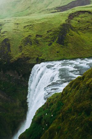 Skagarfoss waterfall in Iceland. White splashes falling down and gulls sitting within a rock. Look from above.の写真素材