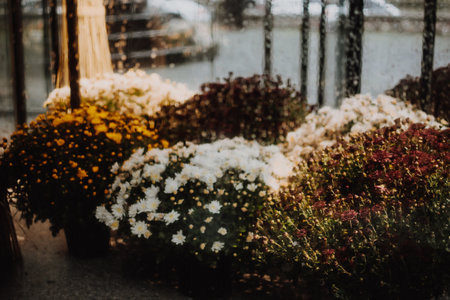 Colorful bouquets under warm lamp light behind the glass covered with raindrops in a flower storeの写真素材