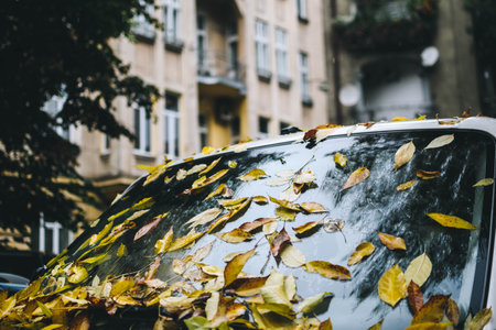 Pile of yellow leaves lying on the windshield of a white van. Cold cloudy Autumn afternoon in October. Blurred architecture on the background.の写真素材
