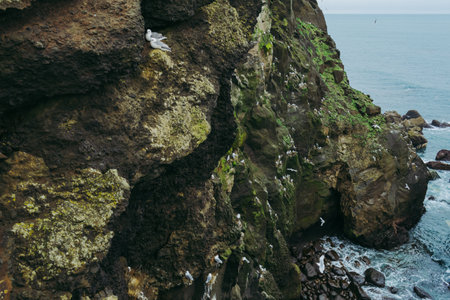 Calm seagulls on the rocks by Atlantic Ocean. Colorful Icelandic landscapesの写真素材