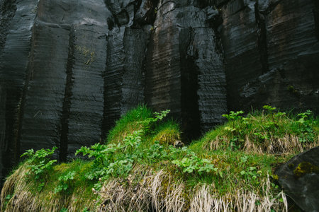 Black basalt columns and green grass near Svartifoss waterfall in Icelandの写真素材