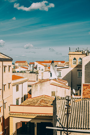 Lonely seagull flying over the rooftops of traditional Sicilian housesの写真素材