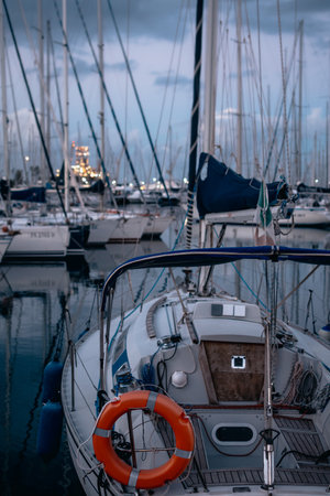 A collection of private yachts in the bay