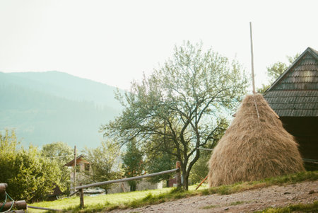 Haycock by the dusty village road in the Carpathian mountains. Ukraine.の写真素材