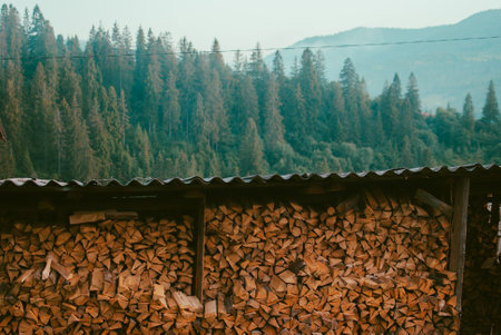 Pile (heap) of dry firewood. Village in the Carpathian mountains, Ukraine. Green forest of firs on the background.の写真素材