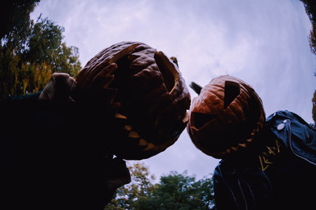 Couple, looking like maniacs, with jack-o'-lantern pumpkins on their heads looking down at a camera. Concept of Halloween, horror, and terror.の写真素材