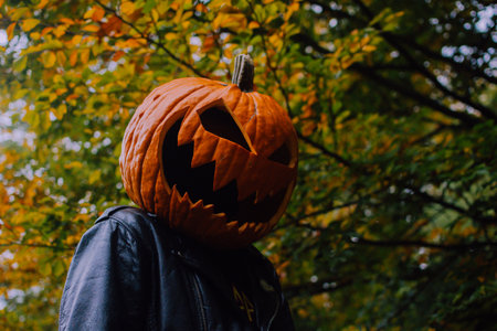 Portrait of a man wearing black leather jacket and a jack o lantern costume against deep yellow autumn foliage in an October forestの写真素材