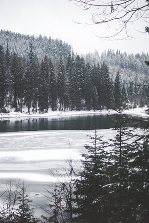 Beautiful mountain lake Synevyr in Ukraine. Frozen lake covered with snow against dark winter forest and mountains covered with clouds. Gray cloudy skyの写真素材