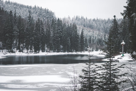 Beautiful mountain lake Synevyr in Ukraine. Frozen lake covered with snow against dark winter forest and mountains covered with clouds. Gray cloudy skyの写真素材
