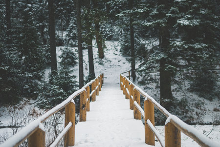 Yellow wooden bridge over the frozen winter lake covered with white snowの写真素材