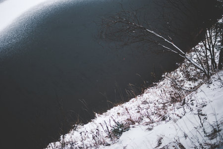 Beautiful mountain Synevyr lake in Ukraine. Frozen lake covered with snow nearby dark winter forest. Black waters under dry branches of a lonely tree growing over cold ground covered with snowの写真素材
