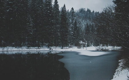 Dark black mountain lake Synevyr in Carpathians. Water reflecting winter firs is covered with ice....