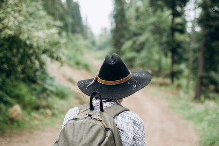 woman traveler, looking at the amazing forest, the concept of travelers, the place for the text, the atmospheric epic momentの写真素材