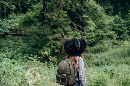 woman traveler, looking at the amazing forest, the concept of travelers, the place for the text, the atmospheric epic momentの写真素材