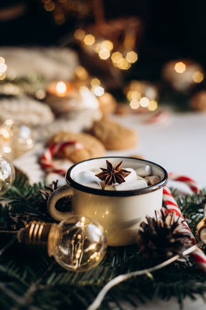 Winter hot drink. Chocolate or cocoa with marshmallow, cookies, candy on white background.の写真素材