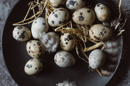 Raw quail eggs on black plate, dark concrete background, top viewの写真素材