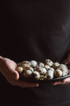 cook is holding raw quail eggs on black plateの写真素材