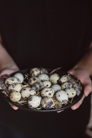 cook is holding raw quail eggs on black plateの写真素材