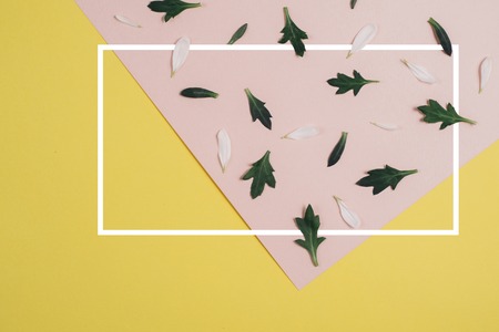 Creative pattern made of white petal and green leaves on pastel pink and light yellow background with white frame. Minimal concept, top view, flat layの写真素材
