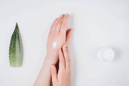 Closeup of beautiful female hands applying cream. Organic cream from Aloe vera fresh leaves on white background. Flat lay, top view, copy space. Healthcare concept.の写真素材