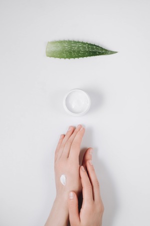 Closeup of beautiful female hands applying cream. Organic cream from Aloe vera fresh leaves on white background. Flat lay, top view, copy space. Healthcare concept.の写真素材