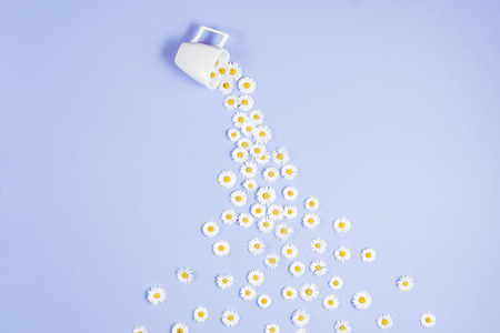 Creative layout made of coffee or tea cup with white flowers on purple background. Chamomiles pour out of cup. Spring, summer concept. Flat lay, top view, copy spaceの写真素材
