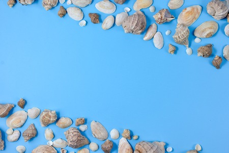Creative flat lay concept of summer travel vacations. Top view of various kinds seashells on blue background. Copy space in minimal style, template for textの写真素材
