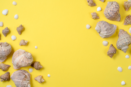 Creative flat lay concept of summer travel vacations. Top view of various kinds seashells on yellow...