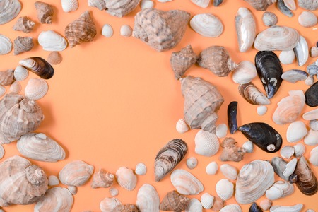 Creative flat lay concept of summer travel vacations. Top view of various kinds seashells on orange background. Copy space in minimal style, template for textの写真素材