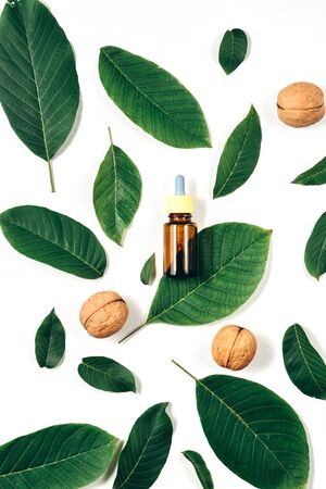 Cosmetic and medicinal oil of walnut on white background. Natural Serums. Flat lay, top view, copy spaceの写真素材