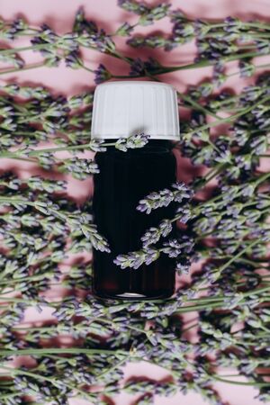 Natural cosmetics. Fresh lavender flowers and bottle essential oil on pink background. Alternative home medicine. Natural Serums. Flat lay, top view, copy spaceの写真素材